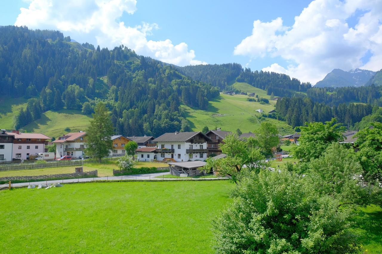 Alpin Penthouse Hollersbach Apartamento Hollersbach im Pinzgau Exterior foto